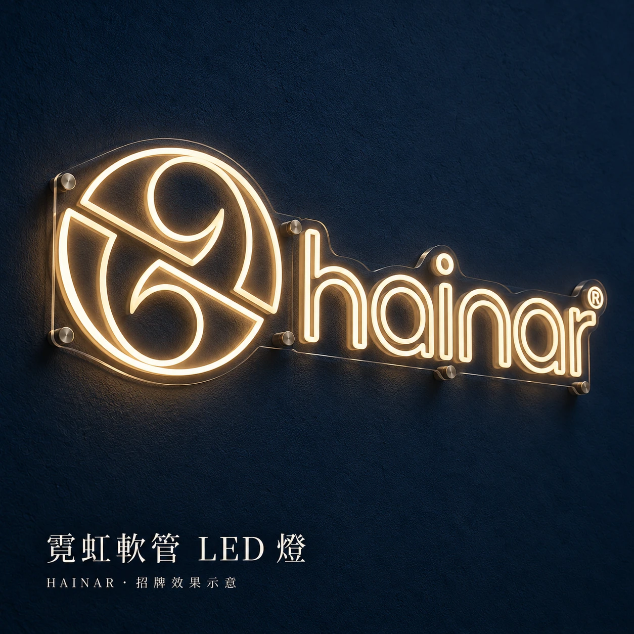 LED 霓虹軟管效果示意